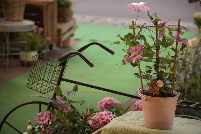 Un Jardin dans ma Ville - Édition 2025 photo 1